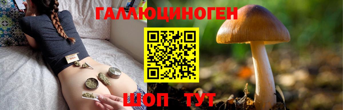 Псилоцибиновые грибы Psilocybine cubensis  Псилоцибиновые грибы Cubensis  Белая Калитва  где купить наркотик  Вход с VPN 